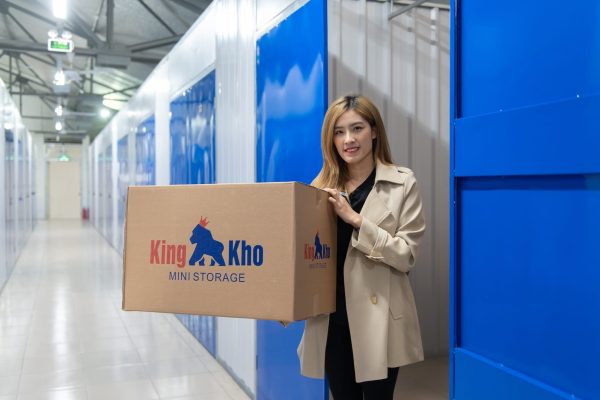 what is mini storage